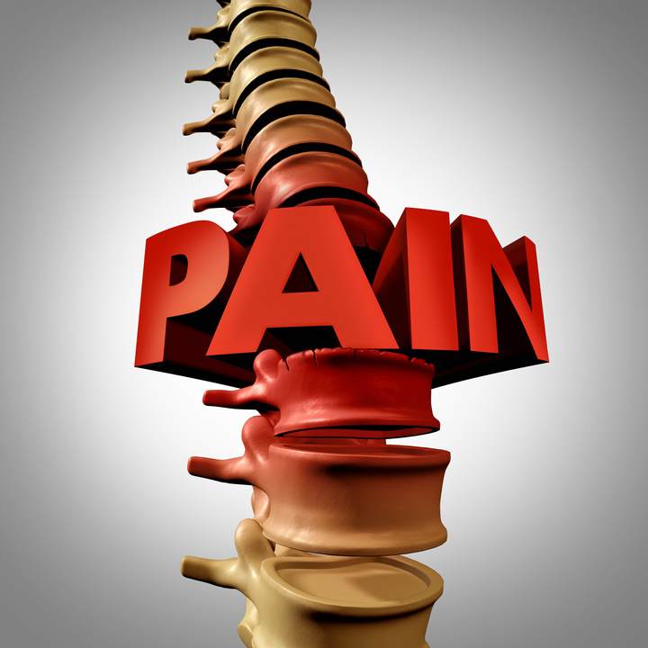 Human Spine Pain